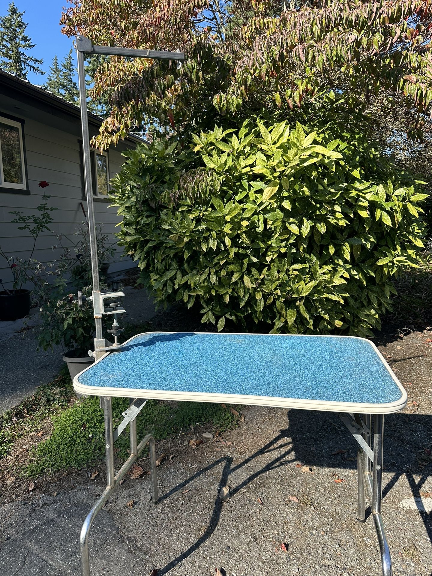Foldable Grooming Table