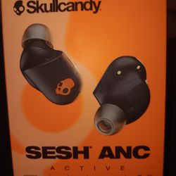 Skullcandy Sesh Anc Active Bluetooth Earbuds 