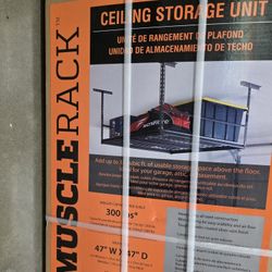 Ceiling Storage Unit