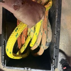 Tree Climbers Rope 250$