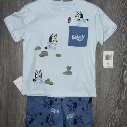 Bluey set for kids size 3t 