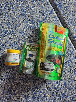 Fish Food