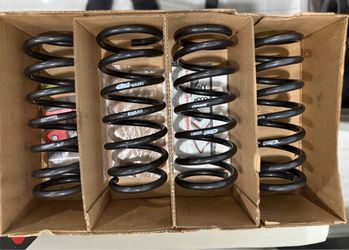 Lowering Springs