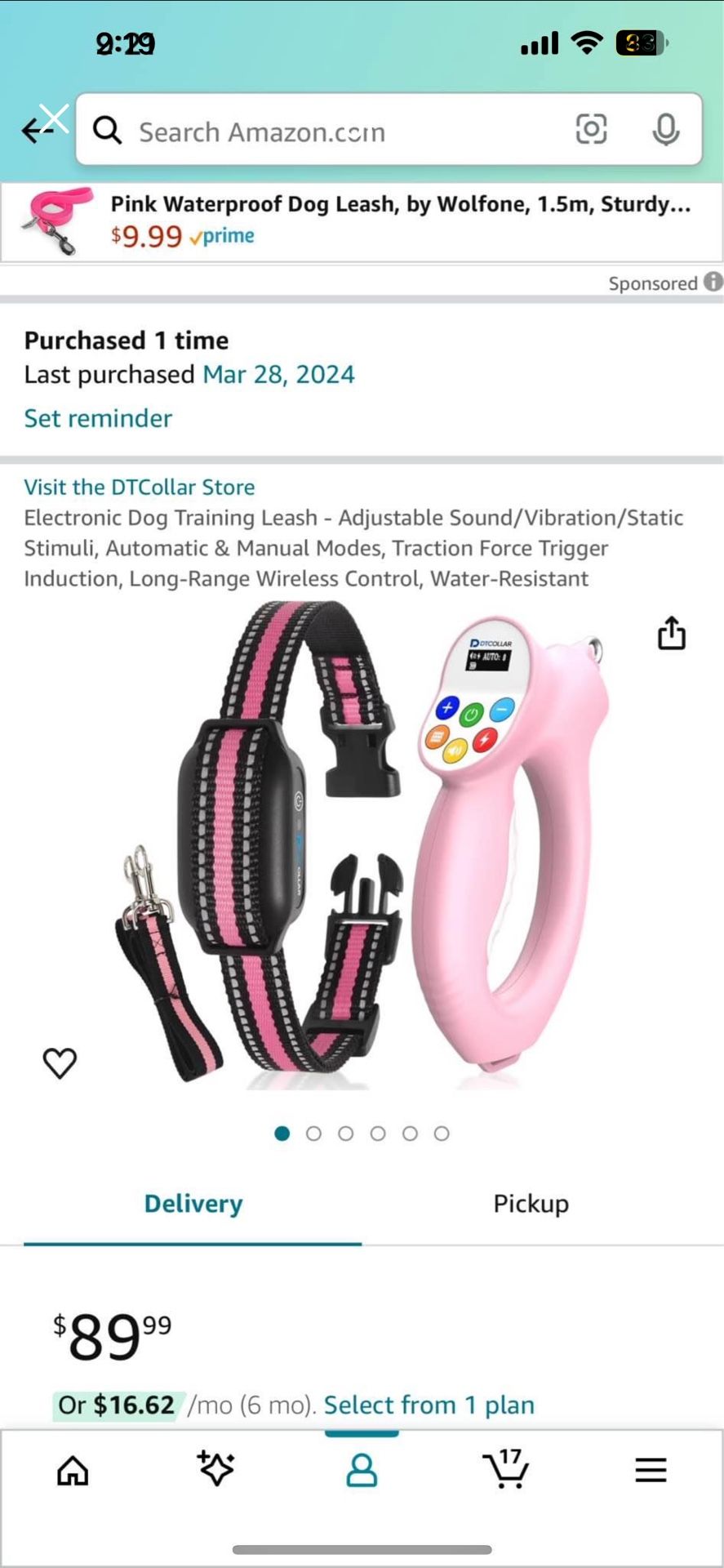 Electronic Dog Training Leash