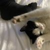 shy weirdo