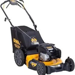 DEWALT Gas Self Propelled Lawn Mower 