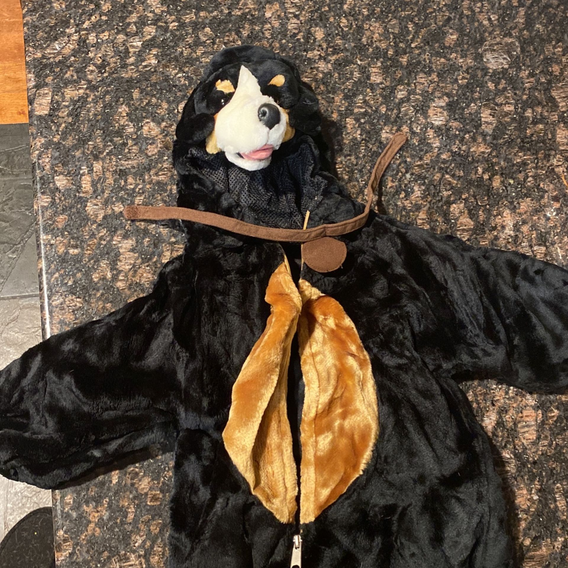 Dog Halloween Costume