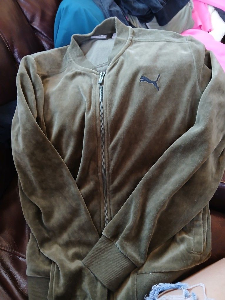 Puma