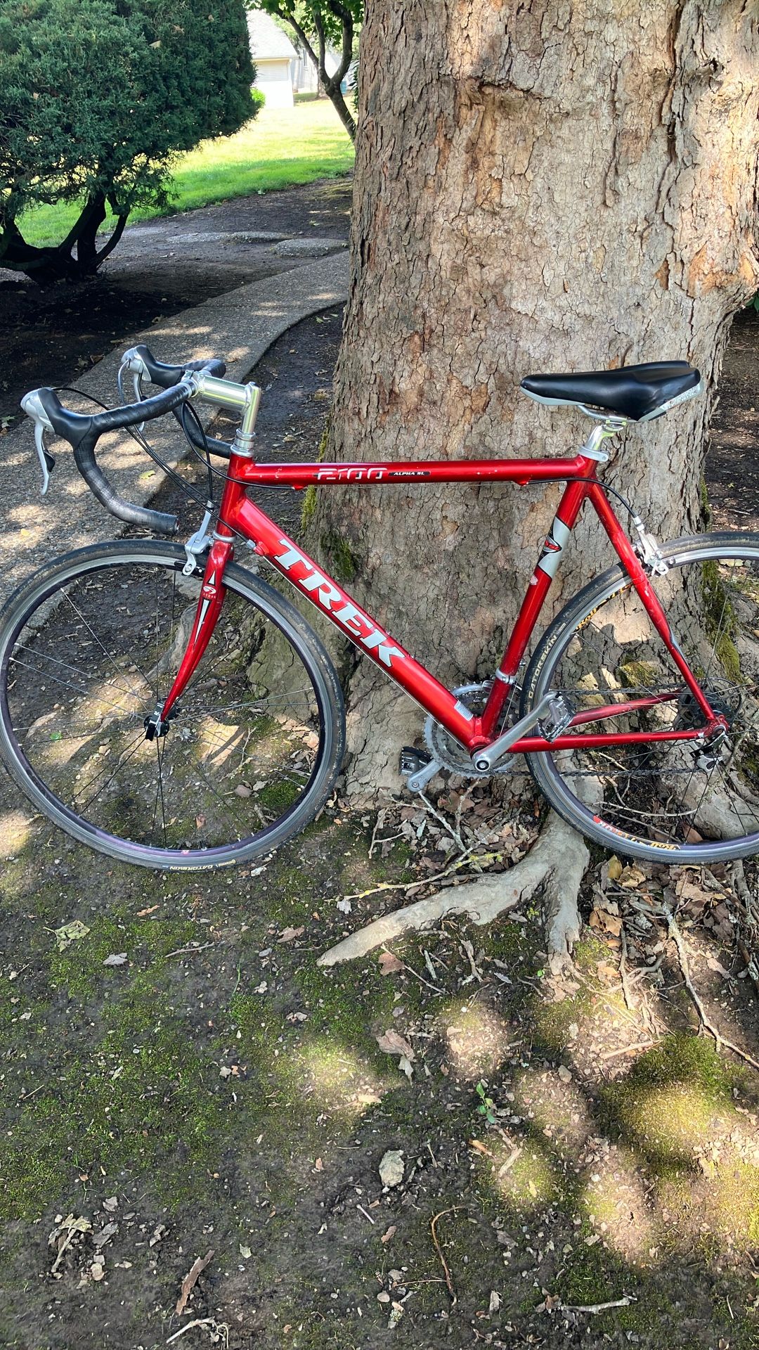 Carbon Fiber Trek Road Bike 