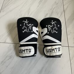BOXING GLOVES 