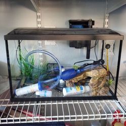10 Gallons Aquarium ready to set up everything included