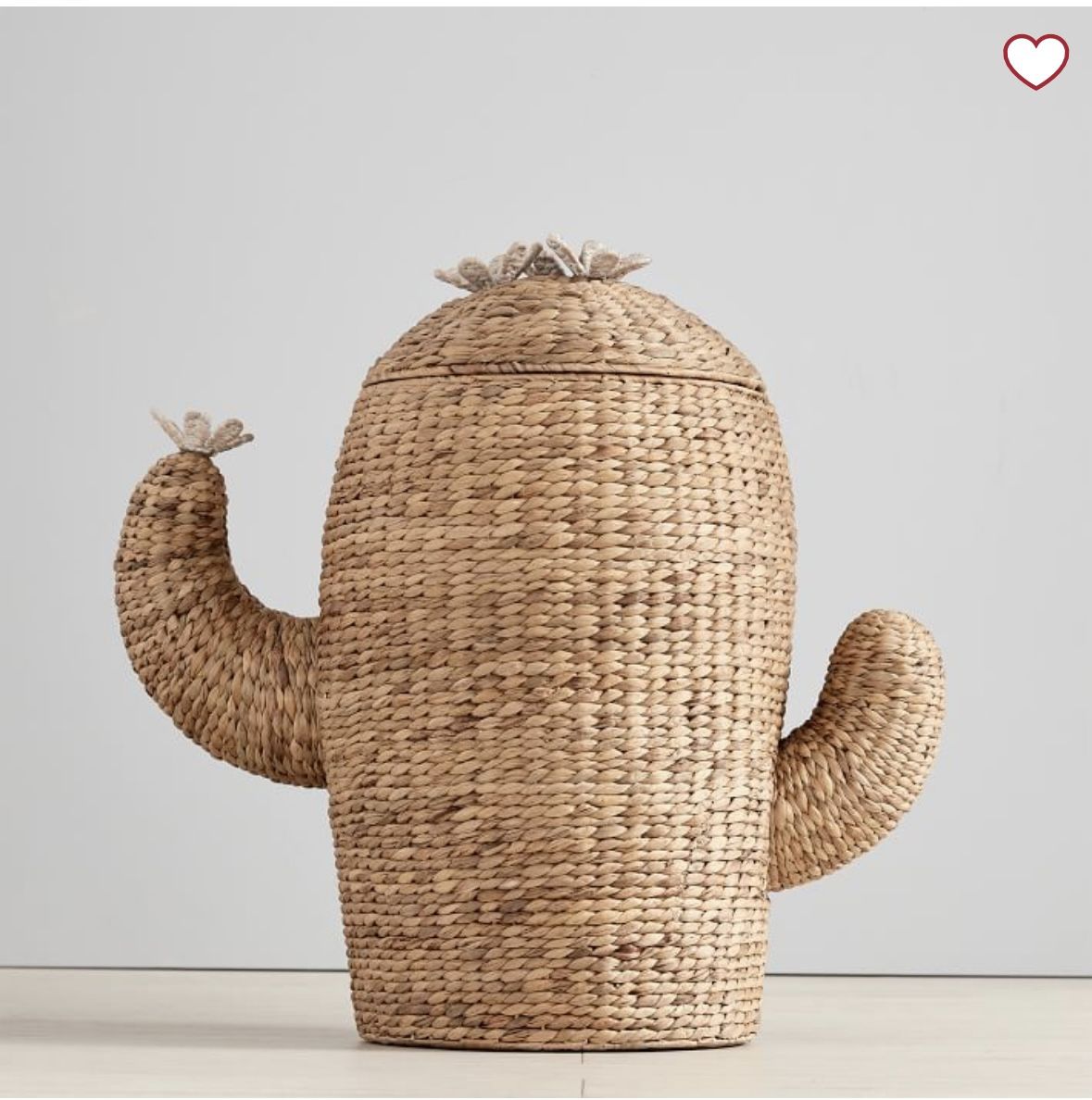 Pottery barn Cactus hamper