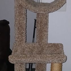 5 ft 6 Inch Sturdy Cat Tree Pick Up Sat/sun Only