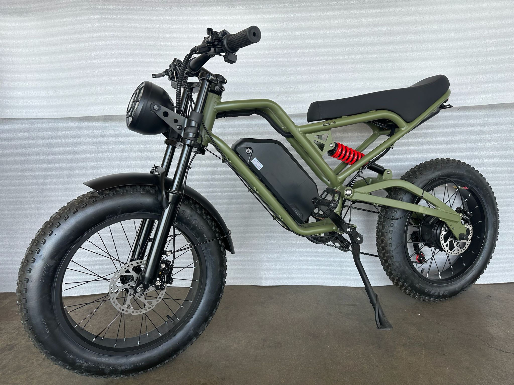 1000 W electric bike