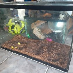 Tank
