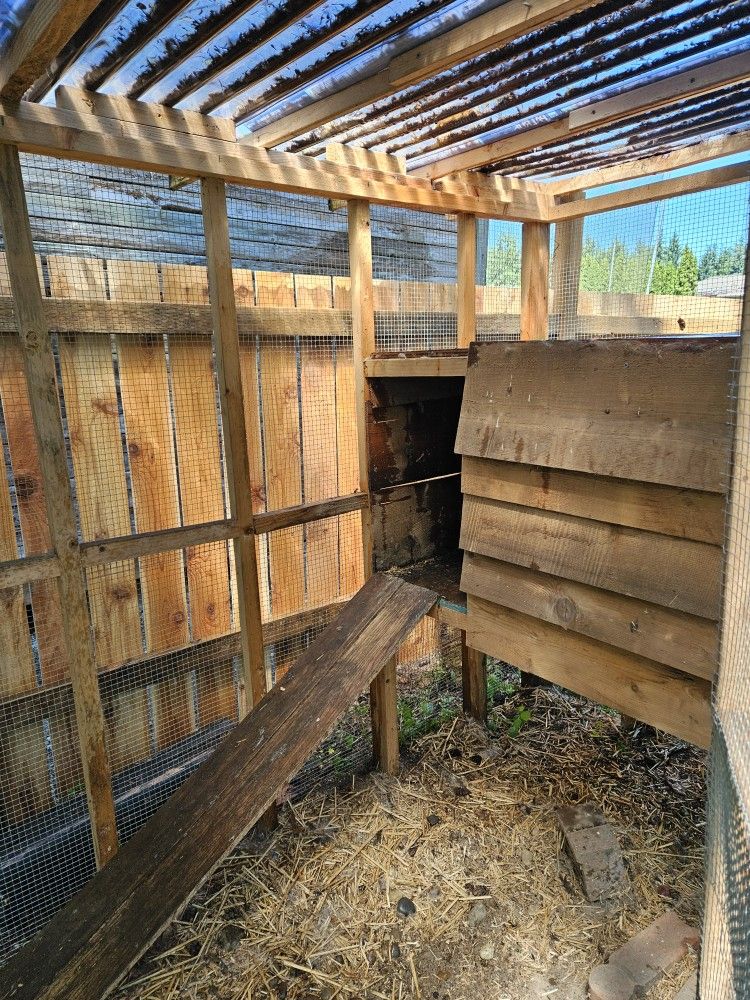 Chicken Coop