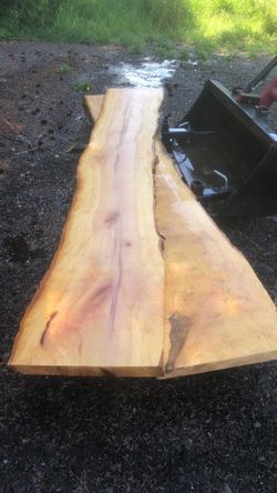 Sycamore Wood Slabs