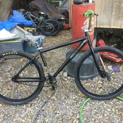 29in Throne Bmx Bike With Steve-o  autograph