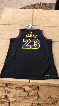 Purple pinstripe shop lebron jersey