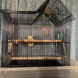 Bird Cage 