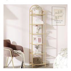 Gold Glass Book Shelf 
