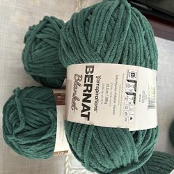 Bernat Blanket Chenille Yarn-3-NEW