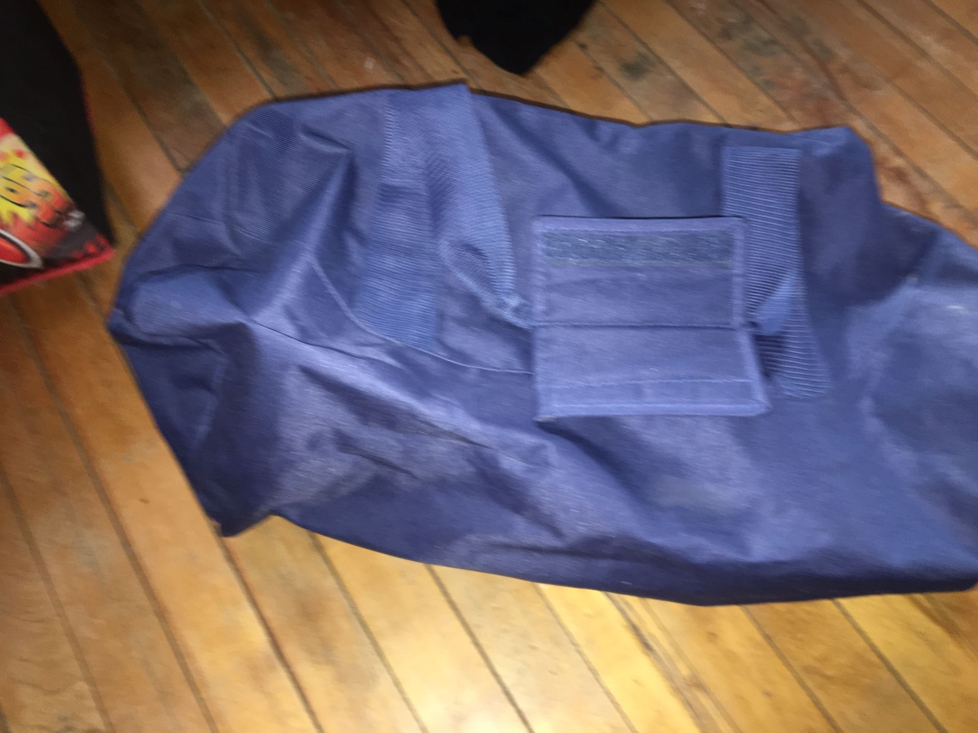 Gym/travel/tote bag