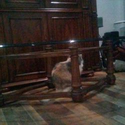 Glass Top Coffee Table