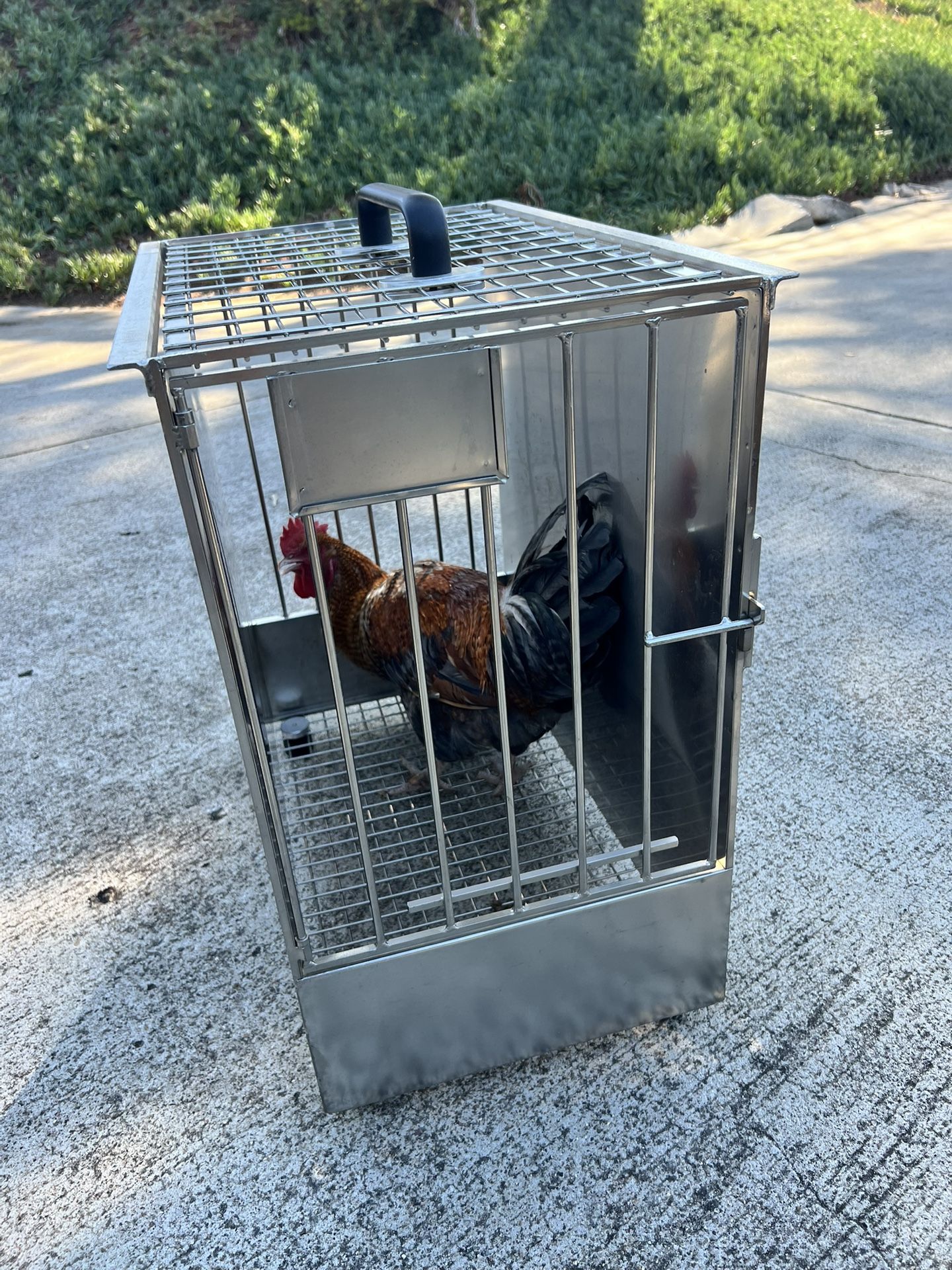 Stainless steel dog/cat crate carrier