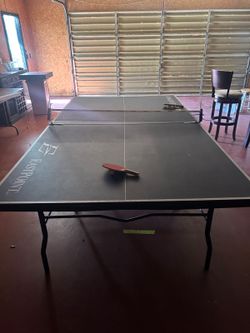 Free Ping pong table and paddles
