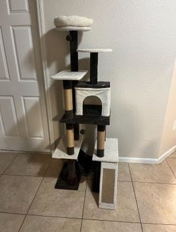 cat tree