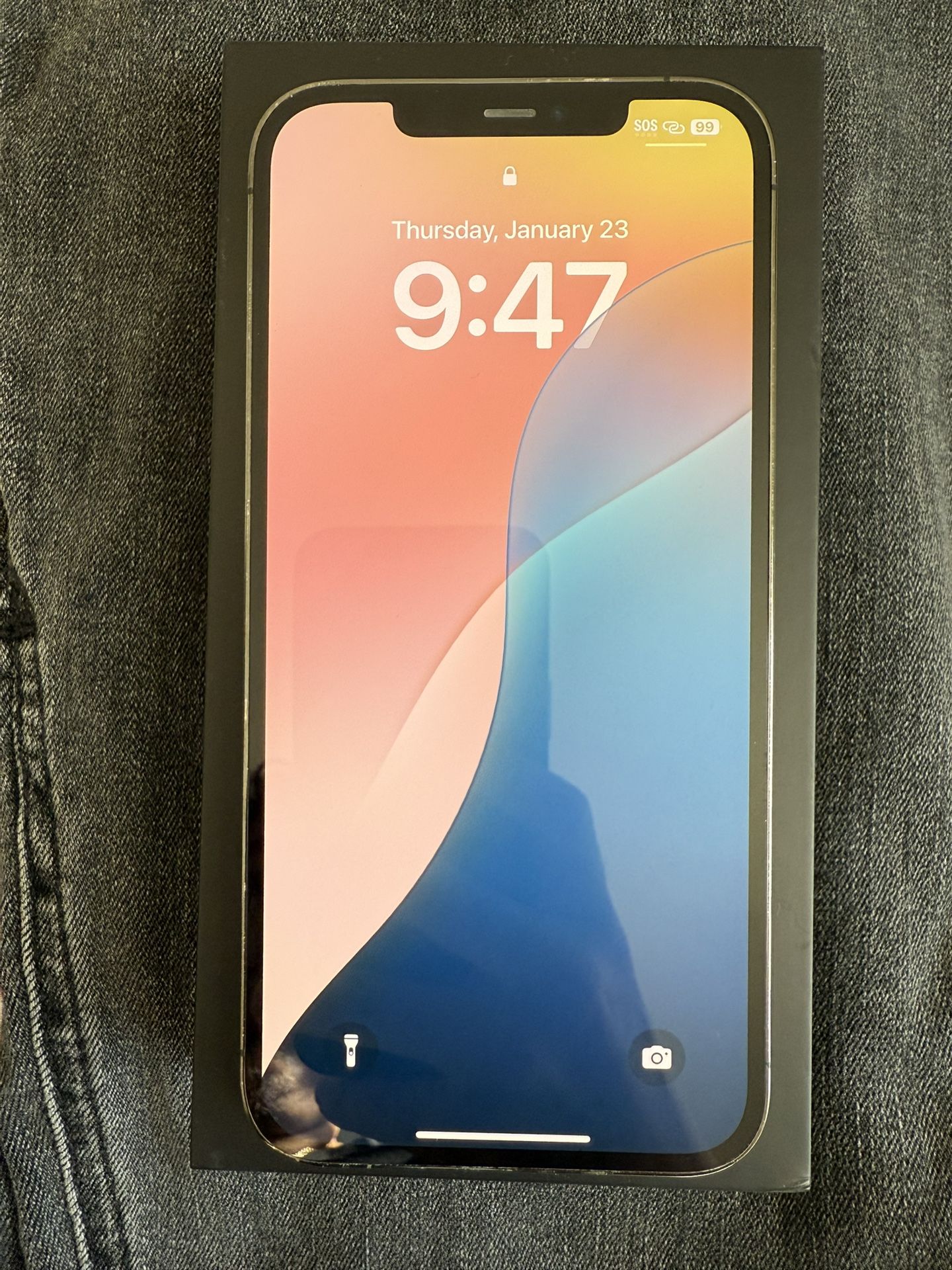 IPhone 12 Pro Max with TikTok
