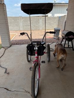 3 wheeler bike