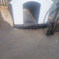 Dog House