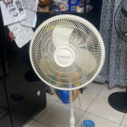 Stand Fan