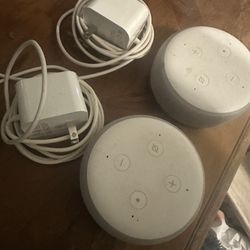 Echo Dots