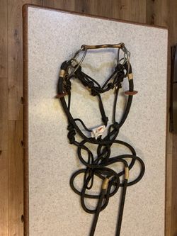 Halter for lead horse