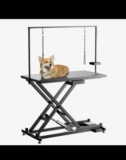 Electric Grooming Table