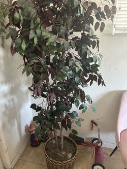 Beautiful 7ft Tall Artificial Tree
