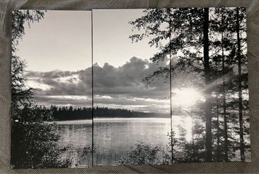 Three beautiful framed  outdoor pictures on canvas