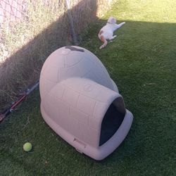 Dog Igloo