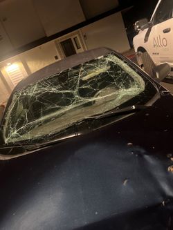 New Windshield