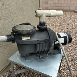 Hayward  Pool Pump