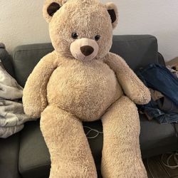 Big Teddy Bear