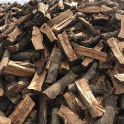 Ready to burn almond and walnuts wood