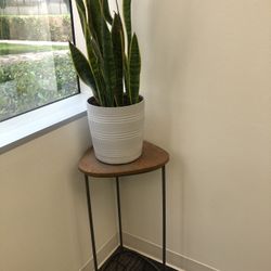 Stand