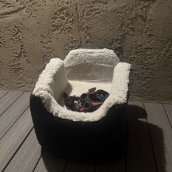 Dog Car Seat 