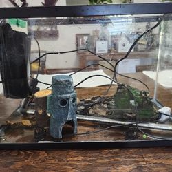 Fish Tank  5