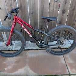 Trek Roscoe 24