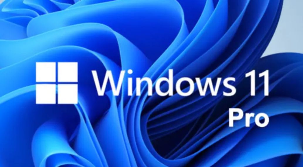 Microsoft Windows 11 Pro (PC) - Microsoft Key